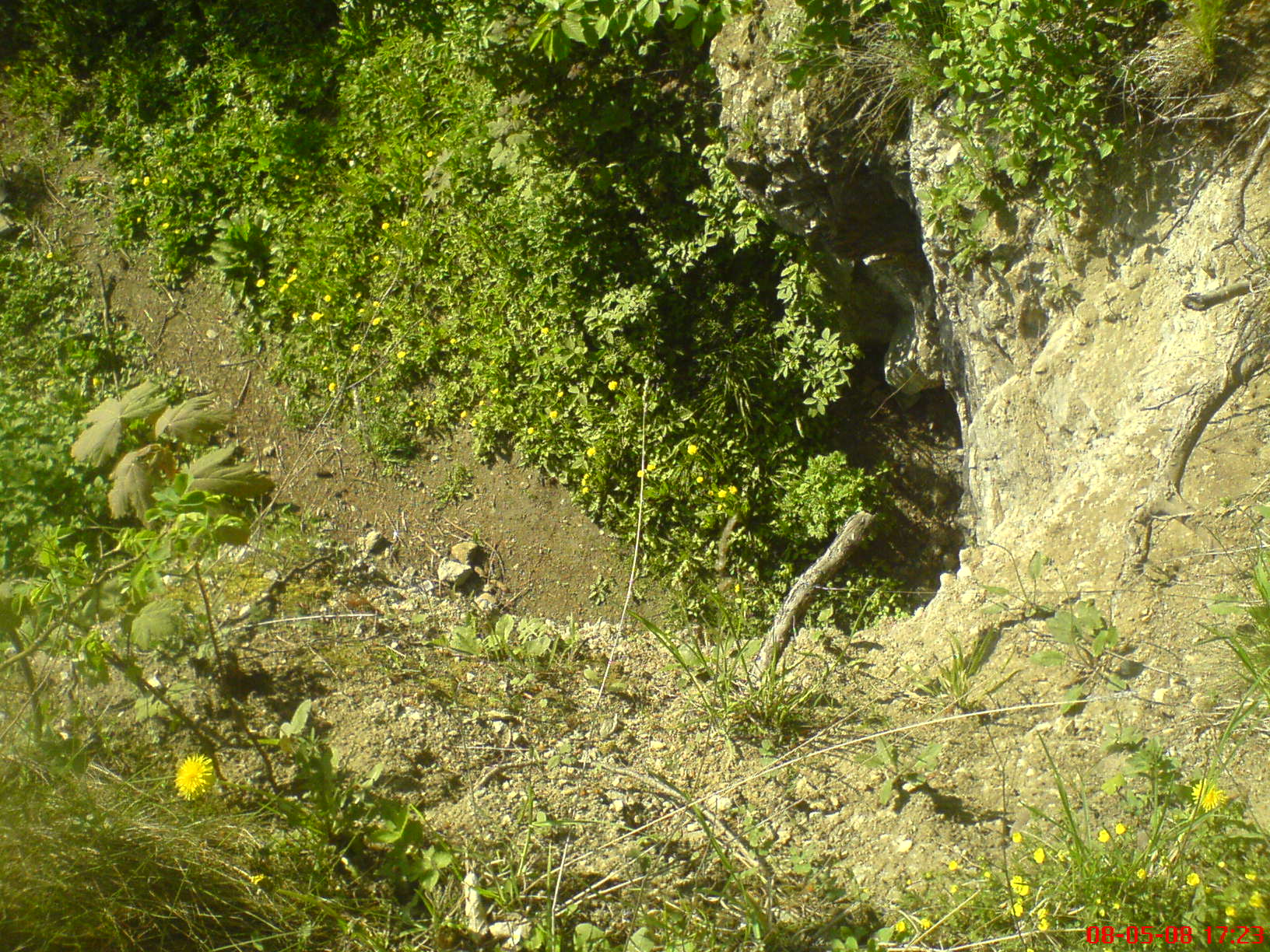 DSC00718.JPG